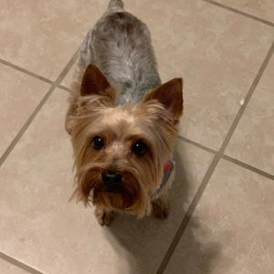 Meet your Posher, Sharline